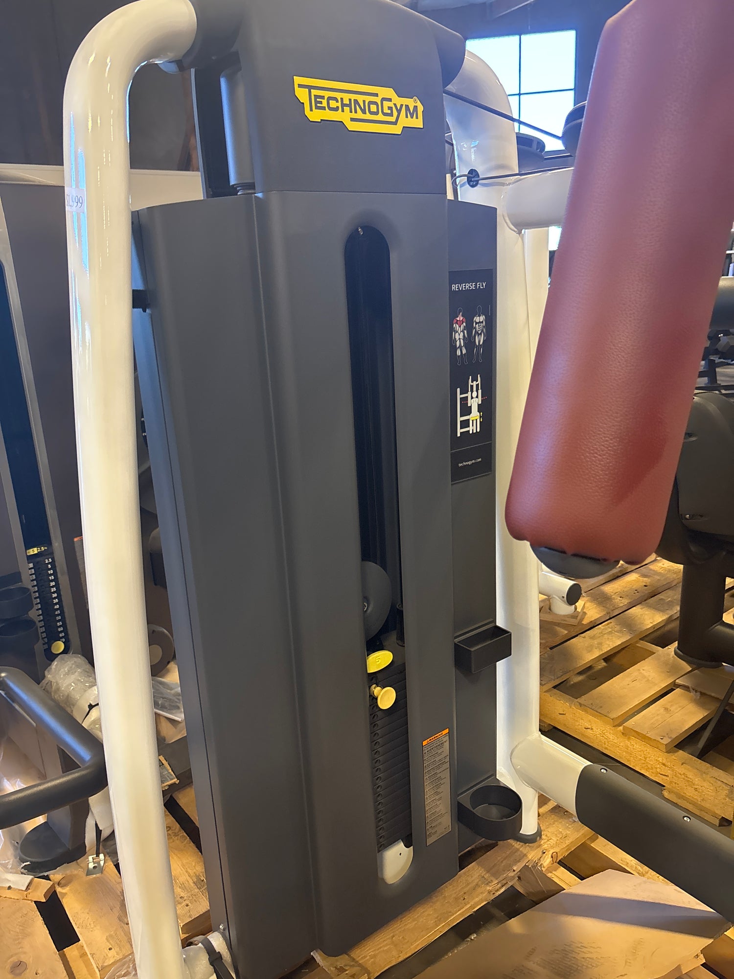 TechnoGym Selection Reverse Fly 900 (2nd)