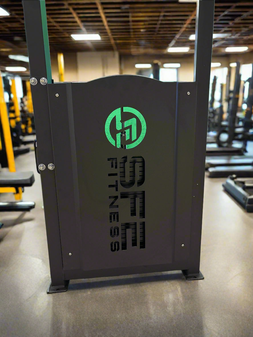 SFE Commercial Back & Ab Combo Machine (New)