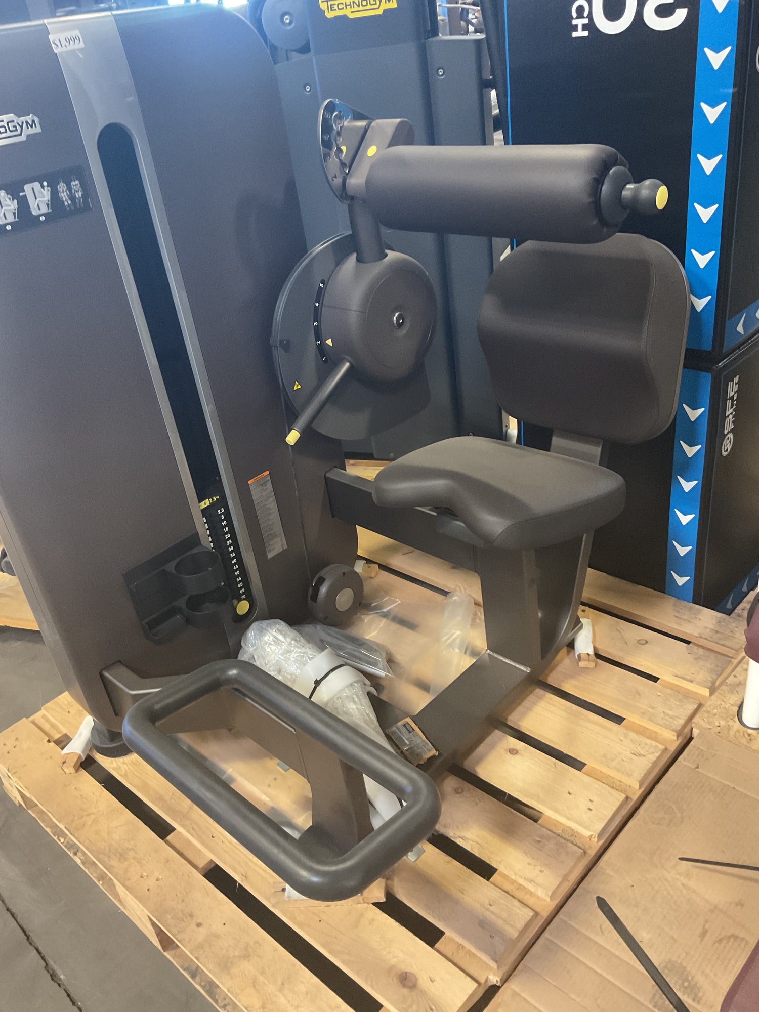 Technogym Artis Lower Back (2nd)