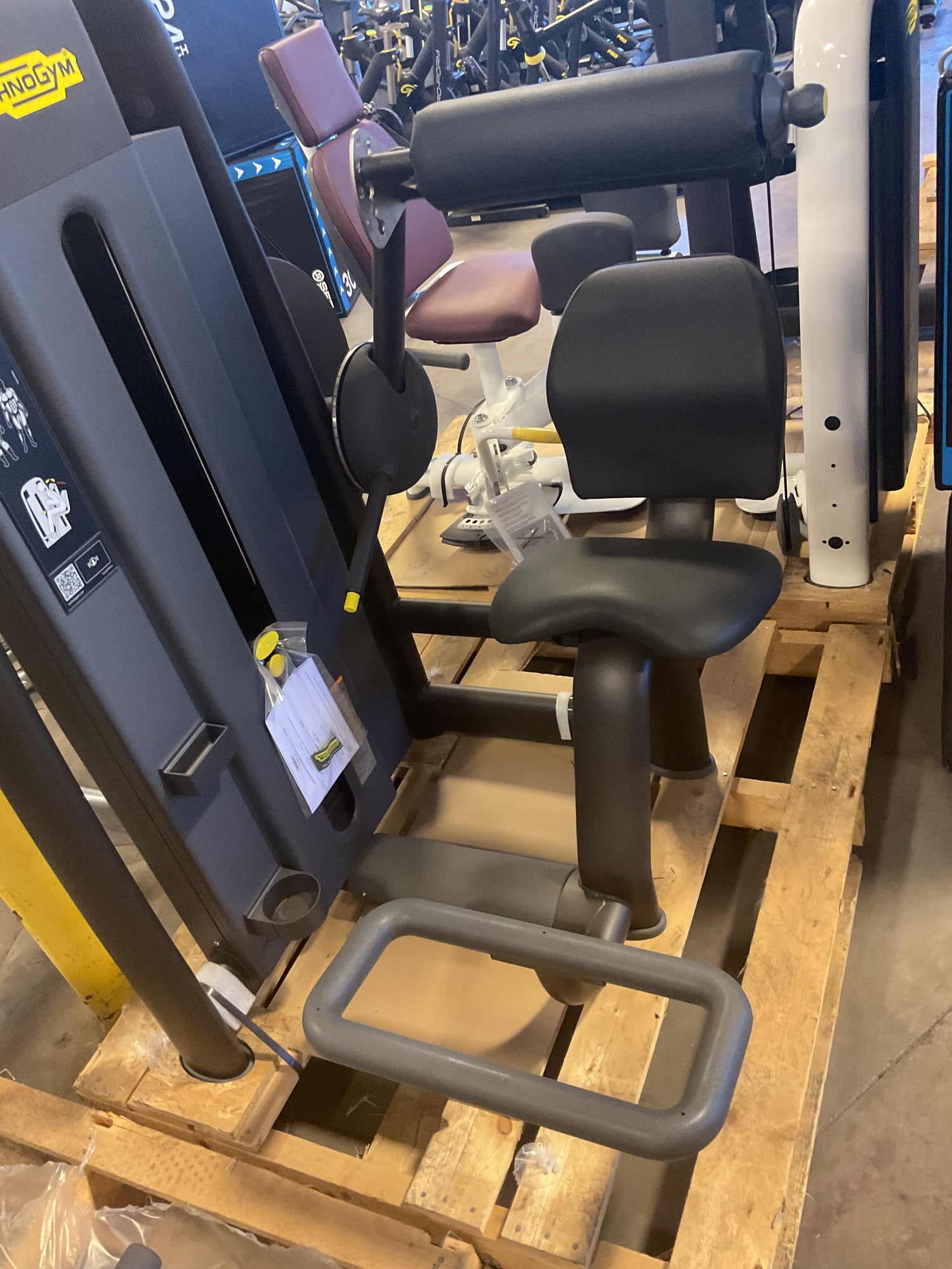 Technogym Selection Lower Back (2nd)