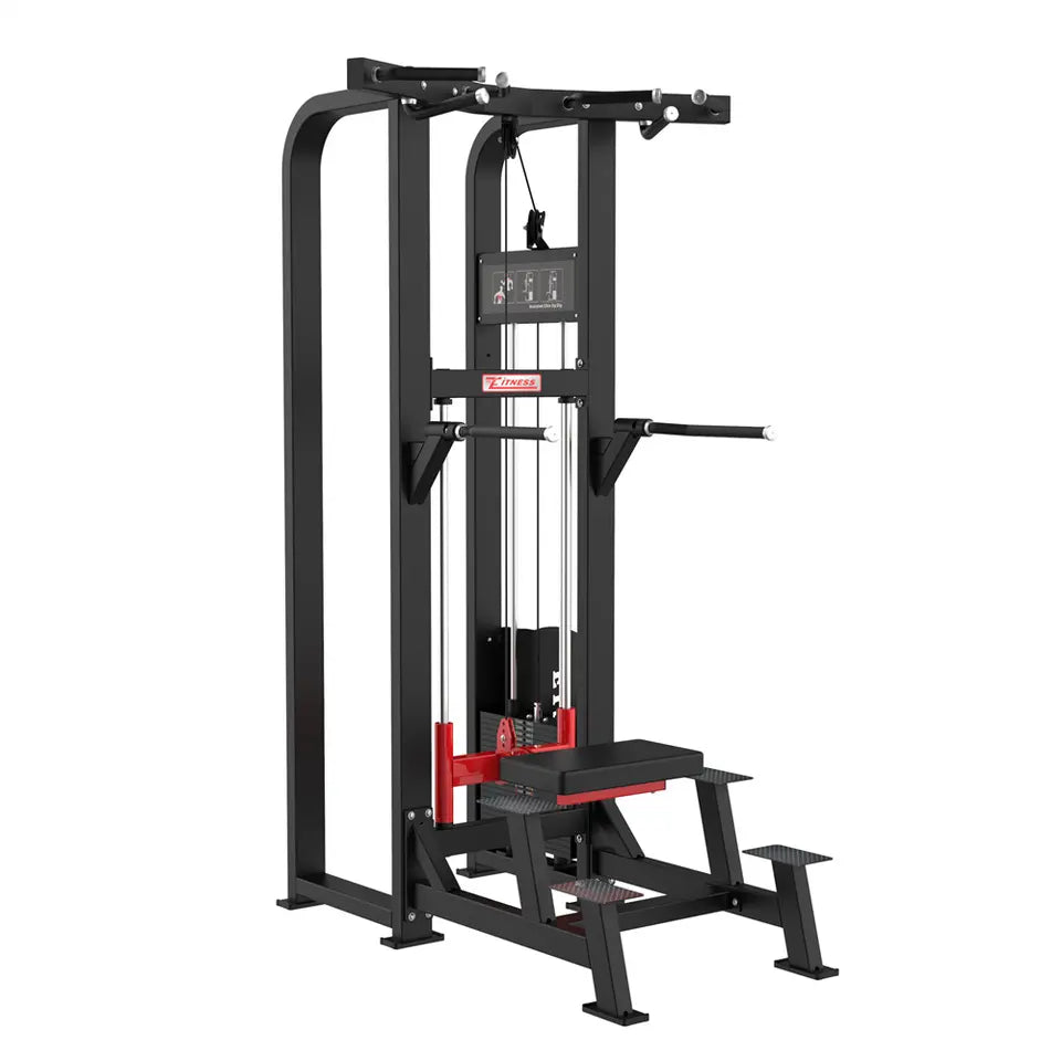 SFE Commercial Assisted Chin Up/Dip Machine Sports & Fitness Exchange