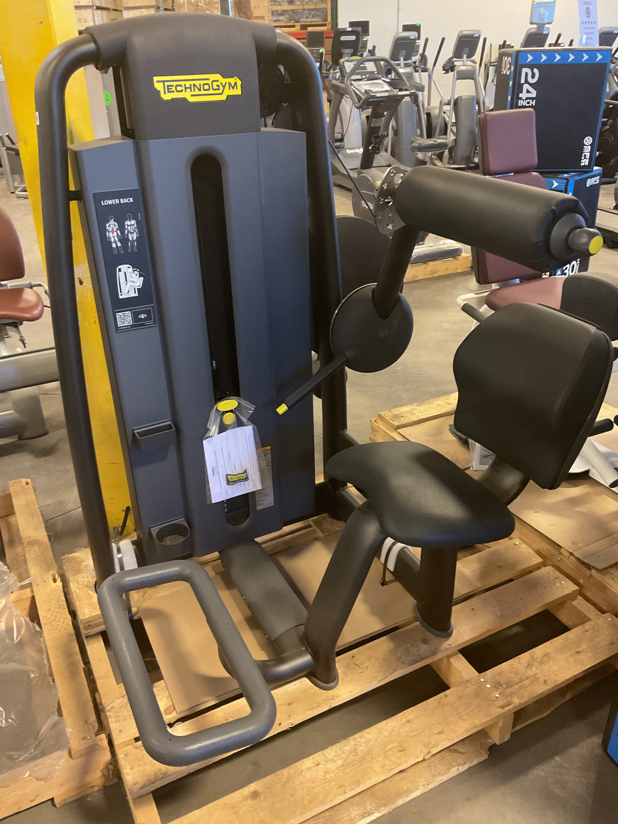 Technogym Selection Lower Back (2nd)