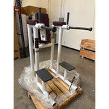 Technogym Leg Raise Dip Machine (2nd)