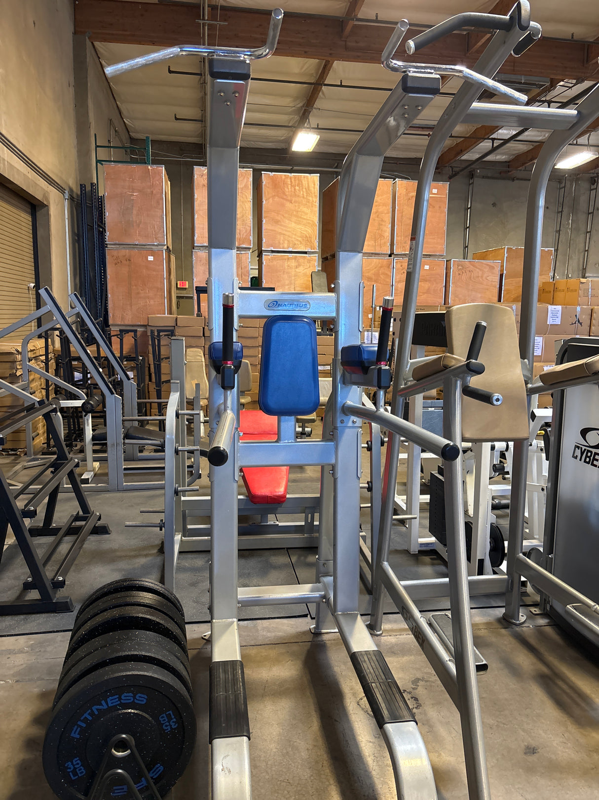 Nautilus Dip/Knee Raise Machine w/ Pull up arms (Pre-Owned)