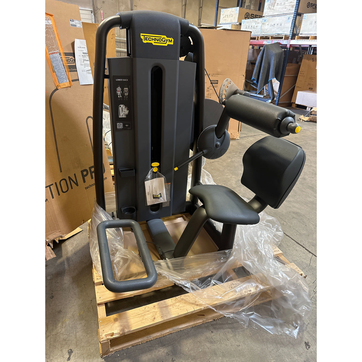 Technogym Selection Lower Back (2nd)