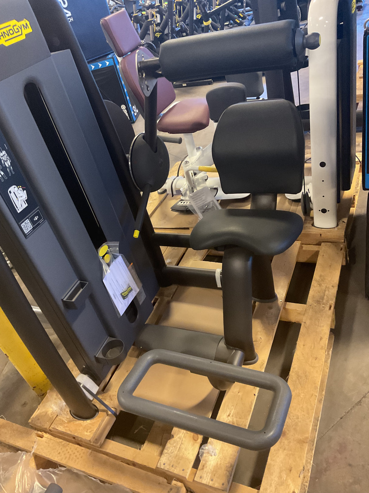 Technogym Selection Lower Back (2nd)