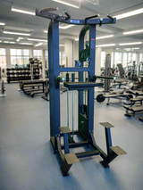 SFE Commercial Assisted Chin Up/Dip Machine (New)