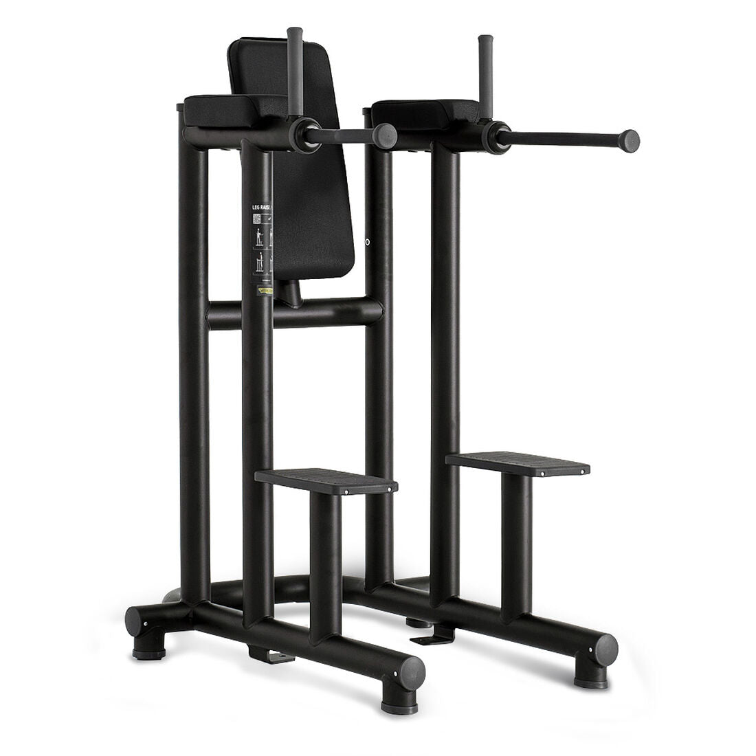 Technogym Leg Raise Dip Machine (2nd)