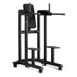 Technogym Leg Raise Dip Machine (2nd)