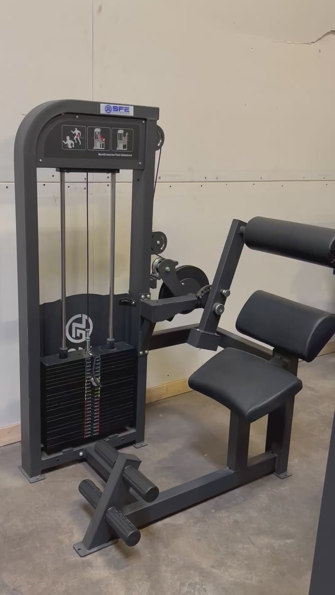 SFE Commercial Back & Ab Combo Machine (New)