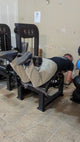 SFE Commercial Leg Extension Prone Leg Curl Combo w/250lb weight stack (New)