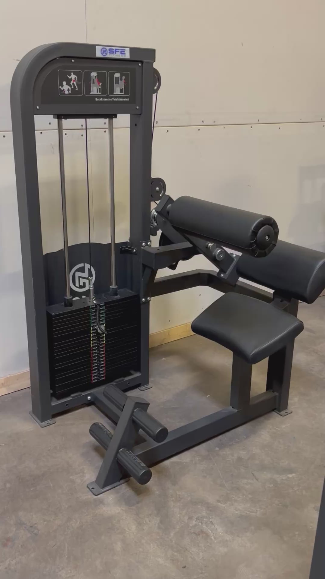 SFE Commercial Back & Ab Combo Machine (New)