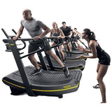 Technogym Skillmill (2nd)